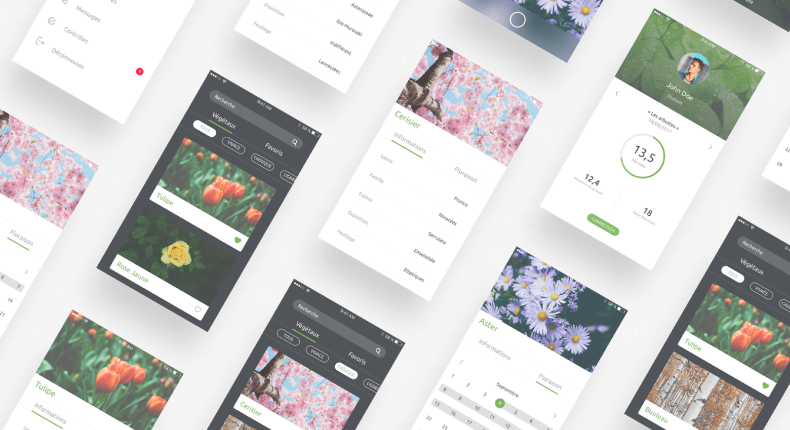 Vegyscan app - App design (Case)