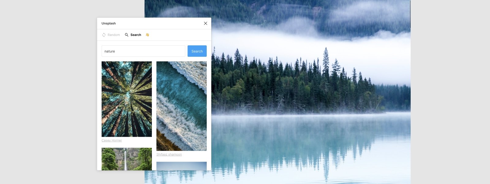 Unsplash Figma Plugin - Photo by Kalen Emsley